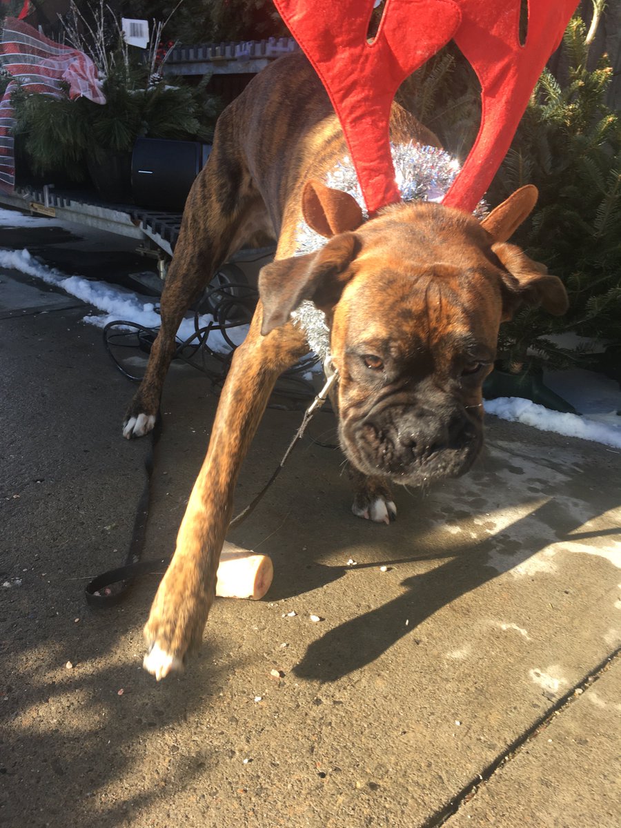 CUPE 1842 tweet media