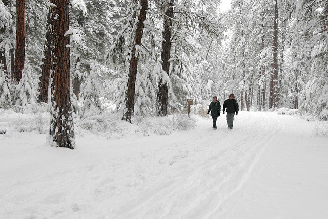 forestservice's tweet photo. Getting outdoors has been proven to have psychological, physical, social, and economic benefits. Go explore your national forest. https://t.co/OaGKDtkRJa
