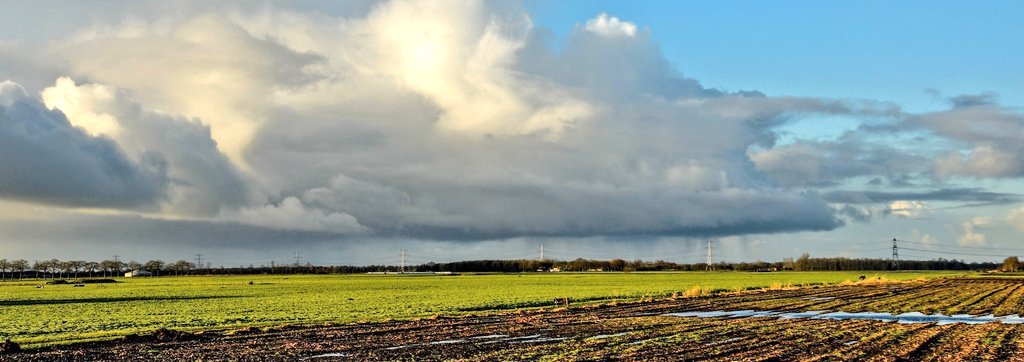 InaZandwijk's tweet photo. Genoten van een drukke en mooie dag buiten #CoopDorpsloop #wandeltocht  @loopgroepdekrim Veel foto's gemaakt, maar dit is de mooiste :) https://t.co/PnjGzRyPVZ