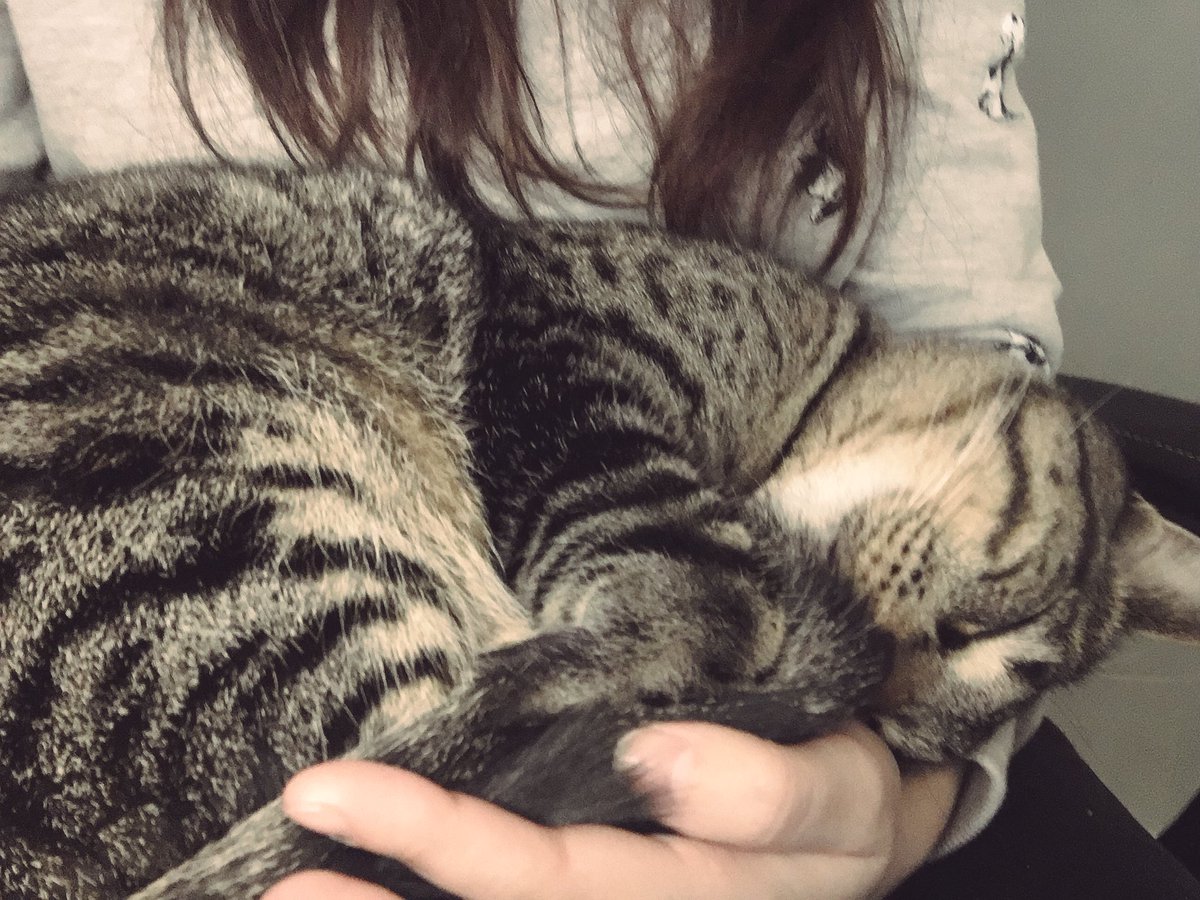 Thor_Witcher's tweet image. meow