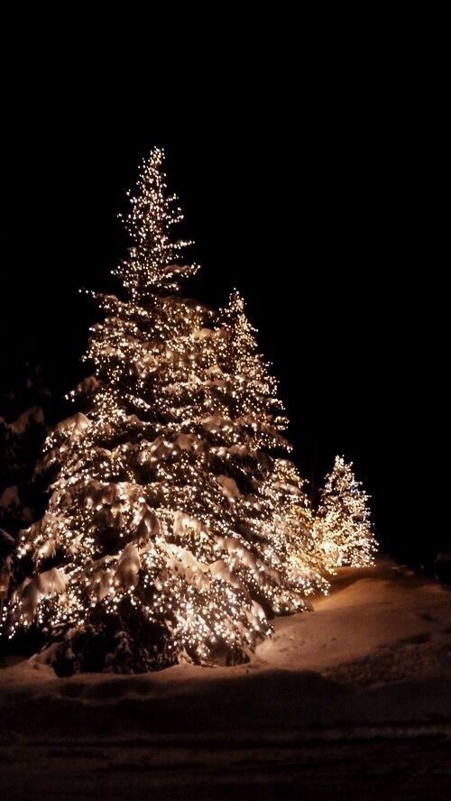 SeasonalFeels's tweet photo. Christmas lockscreens ❄️ https://t.co/HSwYCffnpt