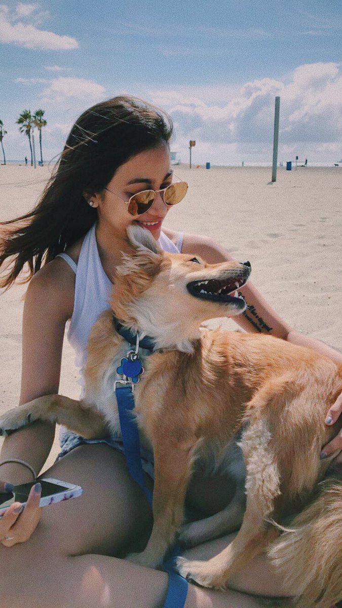 CSULBZTA's tweet photo. Enjoying every moment of our weekend between finals 📚🐶 https://t.co/QZAb5l7GSs