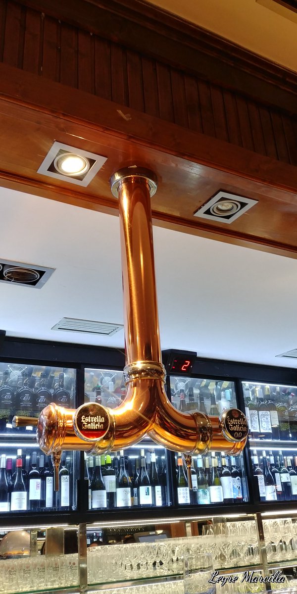 MujerDeCorredor's tweet photo. Ya estamos calentando motores para la media de Vitoria, con lo mejor de lo mejor @estrellagalicia. #listosparalamedia https://t.co/PpBWwdBktW