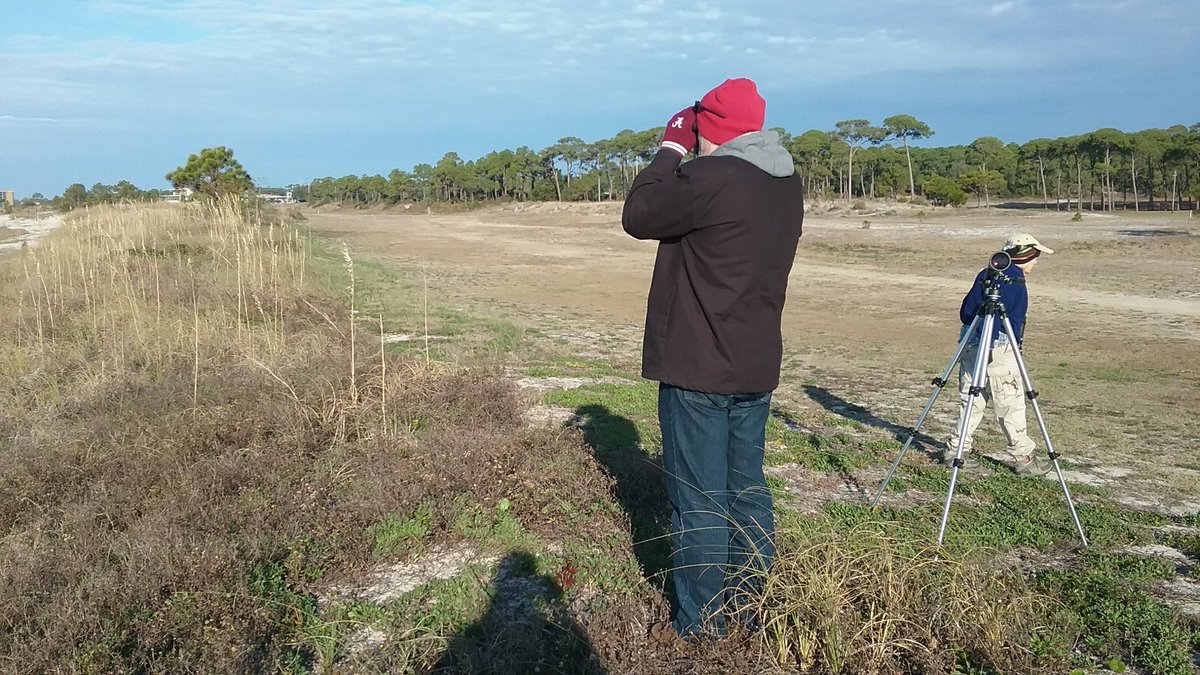 rogue_bander's tweet photo. Bright and early for Audubon's CBC on Dauphin Island!#pelicanbay #citizenscience #albirds #winter @alcoastalbirds https://t.co/lqi1AkIcl4