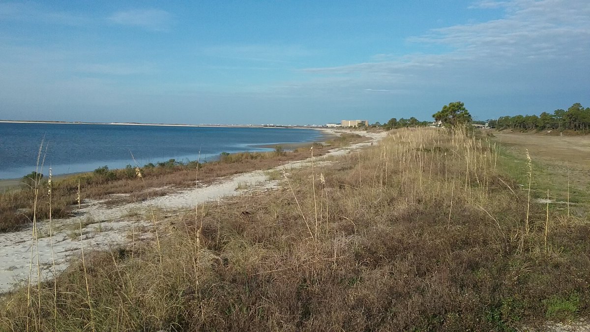 rogue_bander's tweet photo. Bright and early for Audubon's CBC on Dauphin Island!#pelicanbay #citizenscience #albirds #winter @alcoastalbirds https://t.co/lqi1AkIcl4