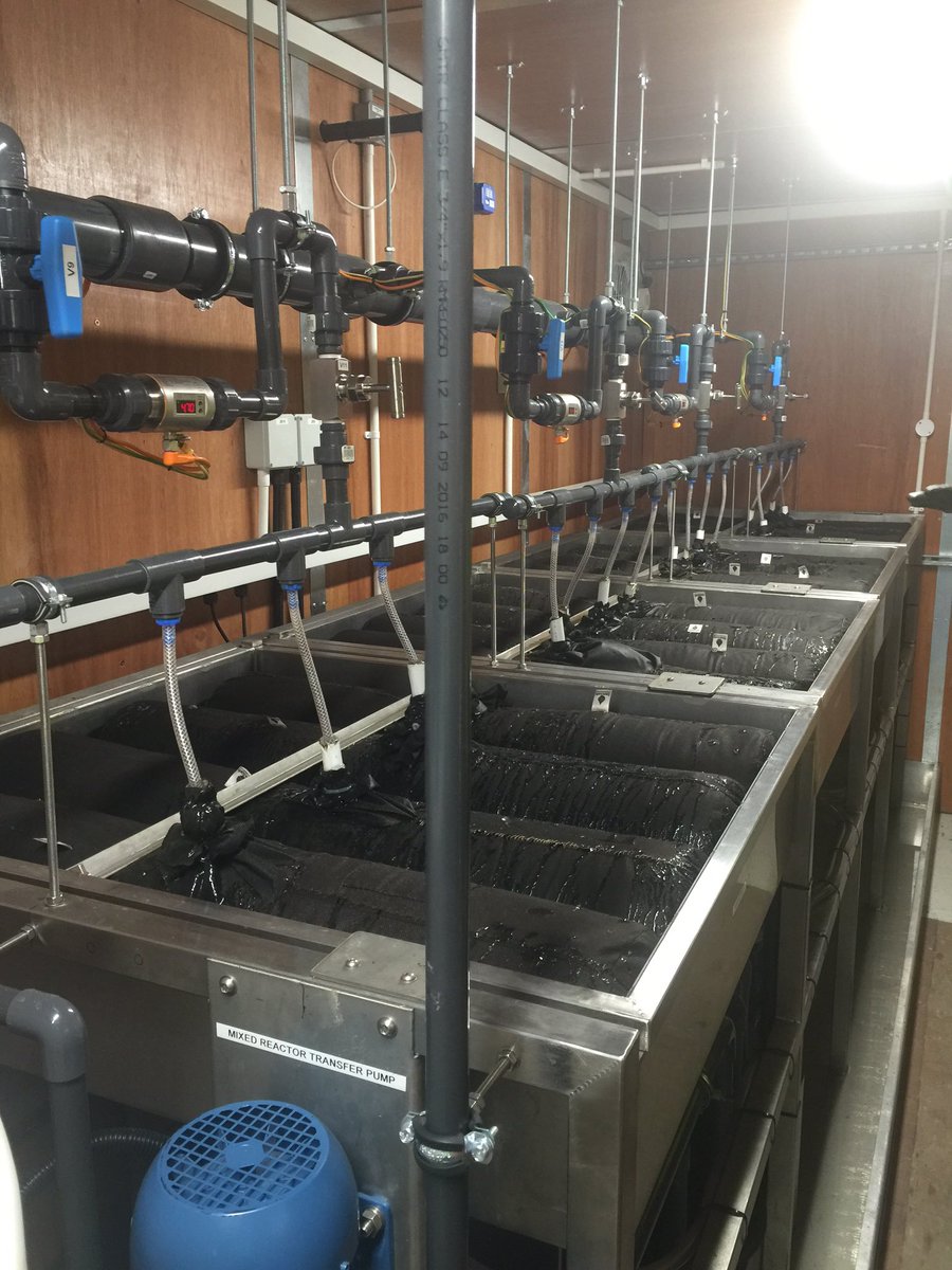 Gerard Harkin tweet media