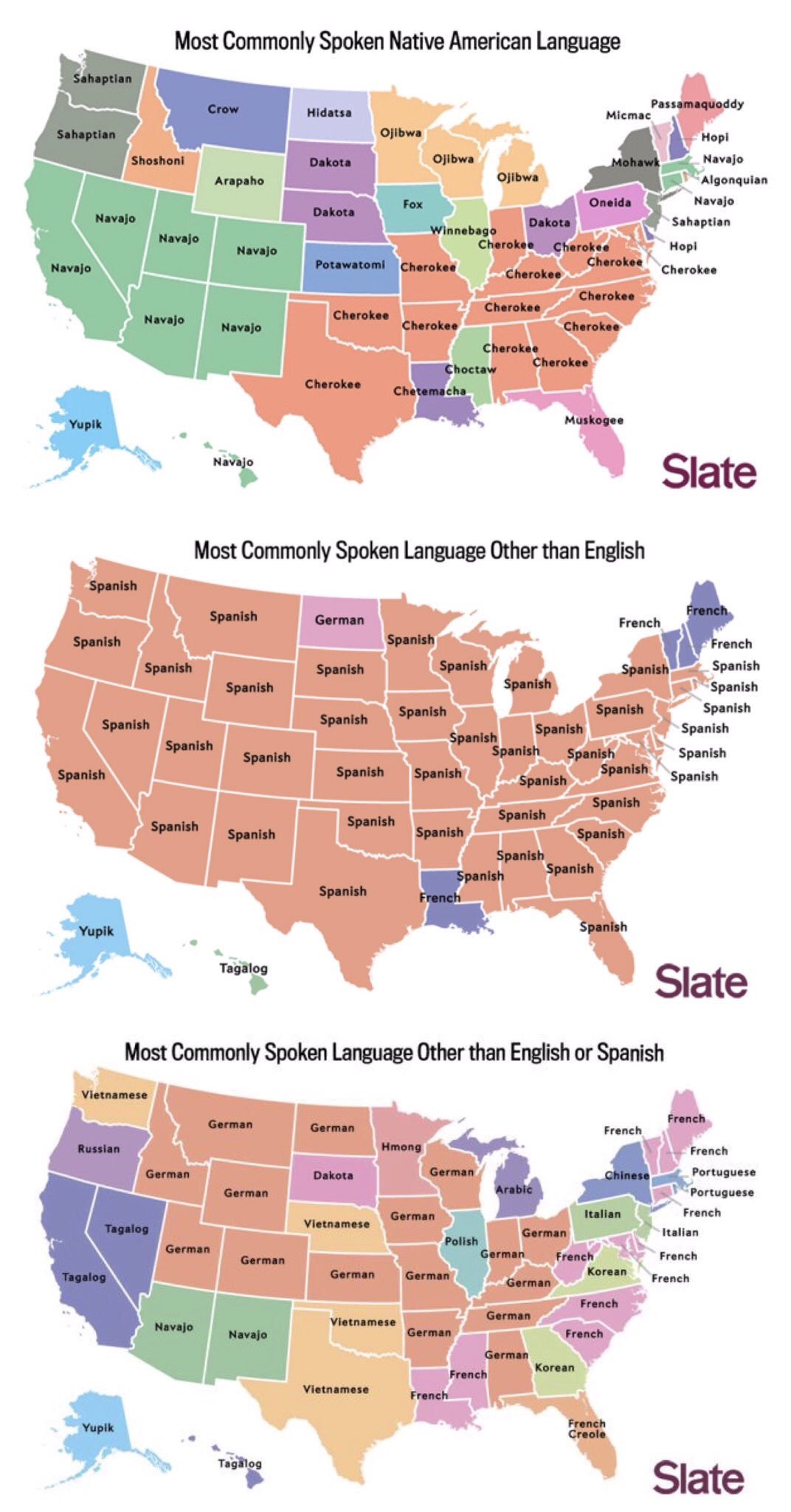 Most Common Language in U.S. States (Besides English and Spanish)