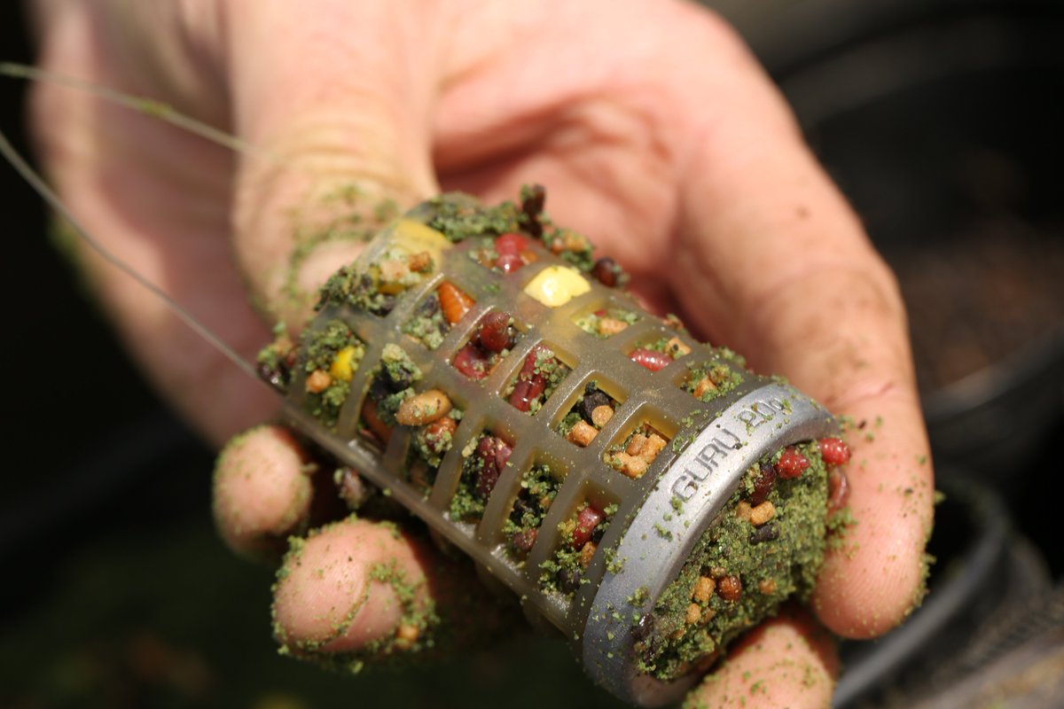 TackleGuru's tweet photo. It's been a week since the launch of the latest Guru X-Change Distance Feeder Range, explored and explained in-depth by @StevenRinger in this unmissable video! https://t.co/gw0hnj1BIy #fishing #feederfishing #teamguru #xchange #makethechange #matchfishing https://t.co/eMOlhNEGEY