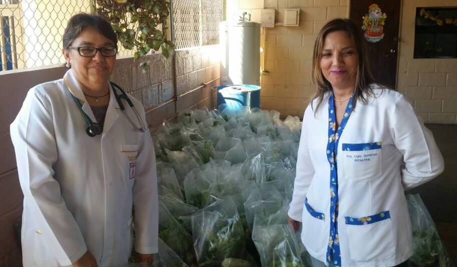GobEstadoMerida's tweet photo. #BeneficiosParaTodos #Emcodialsa e #Imderural, entregaron combos de alimentos para el personal del ambulatorio tipo I de Lagunillas. #LoDijo Alexis Sosa, presidente de Emcodialsa: "Cada combo pesa 11 kilos y consta de 22 rubros agrícolas (...) se atendieron a 150 personas". https://t.co/YqmiHgLmUW