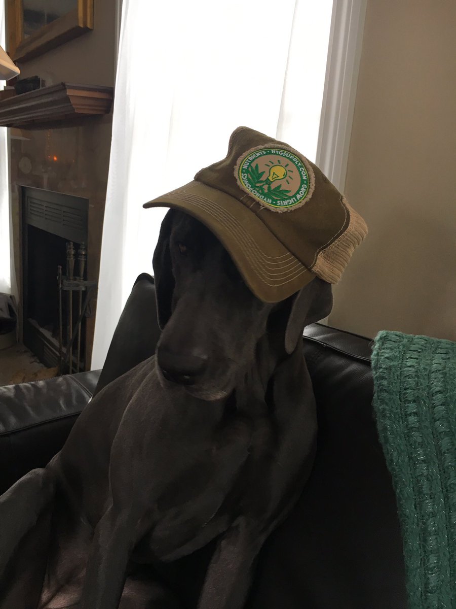 lhbaileyhydro's tweet photo. @HTGSupply this is how I feel after our first semester ends... looking forward to a rejuvenating winter break! https://t.co/k7U8P9pMYN