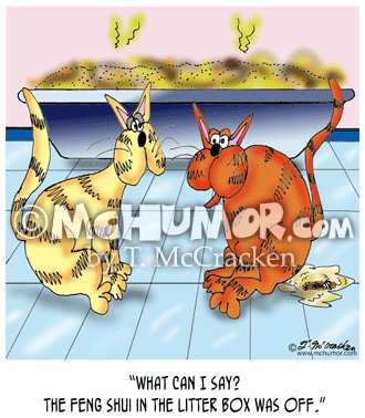 mchumor's tweet photo. https://t.co/kLNsyJv855 's Cartoon of the Day: December 16, 2017
More Cat Cartoons @
https://t.co/thoNIbtPkE https://t.co/gbnp48sXaD