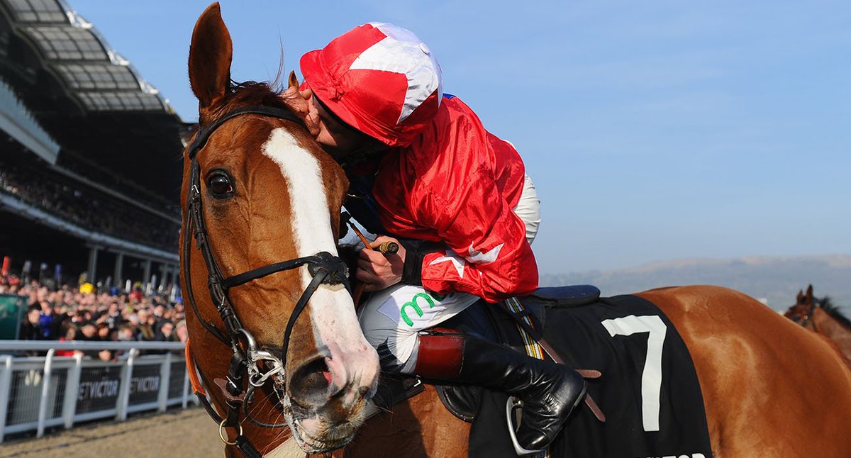 SportingLife's tweet photo. We wish Jamie Moore's "best mate" Sire De Grugy a very happy retirement 👍 🏇

🏆 Champion Chase
🏆 Tingle Creek Chase
🏆 Desert Orchid Chase
🏆 Clarence House Chase
🏆 Celebration Chase.
🥇17 wins https://t.co/cxJ5ByZgHw