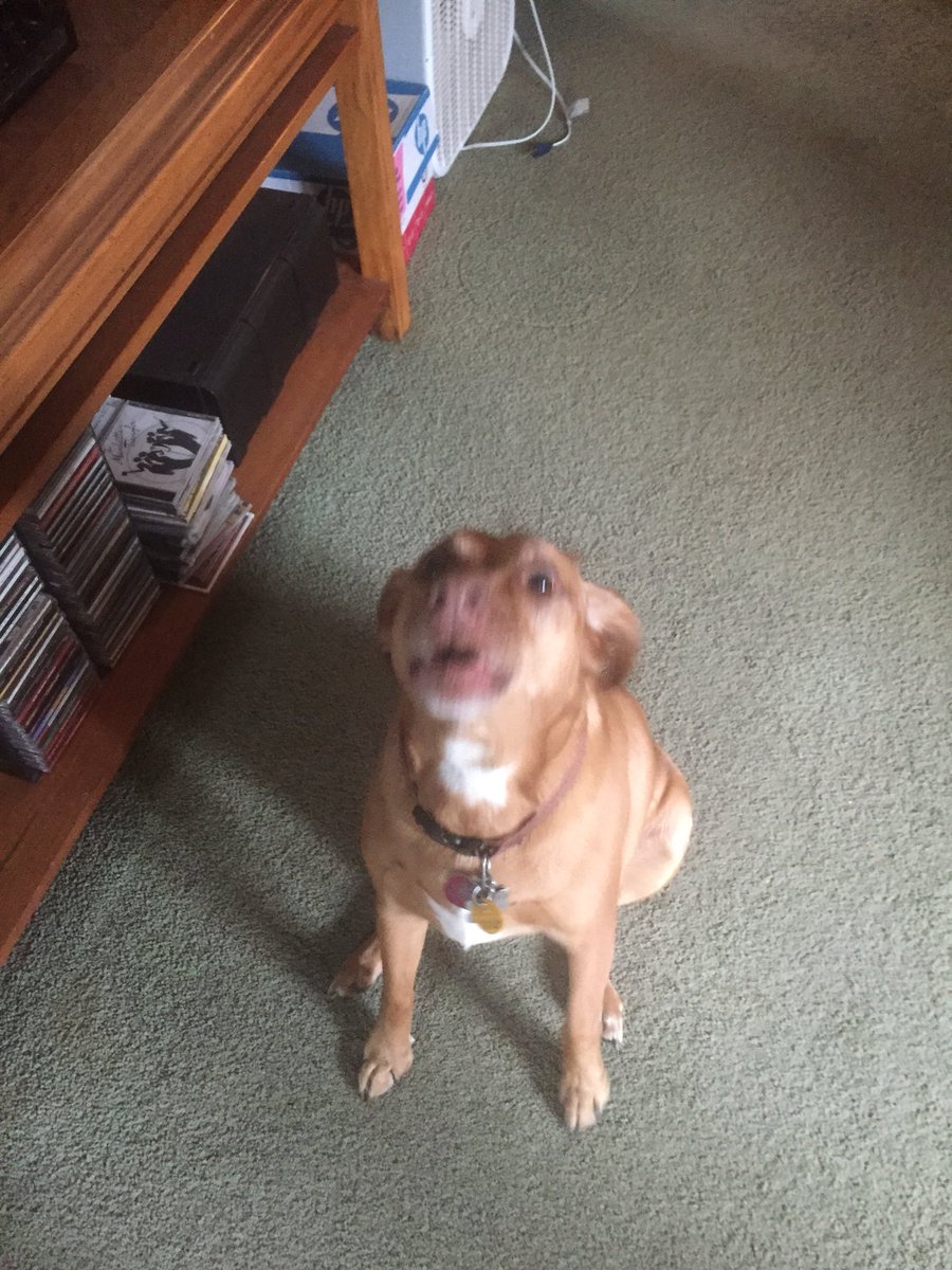 tstemig's tweet image. Wooo hooo Robby!!! #cyclONEgrad