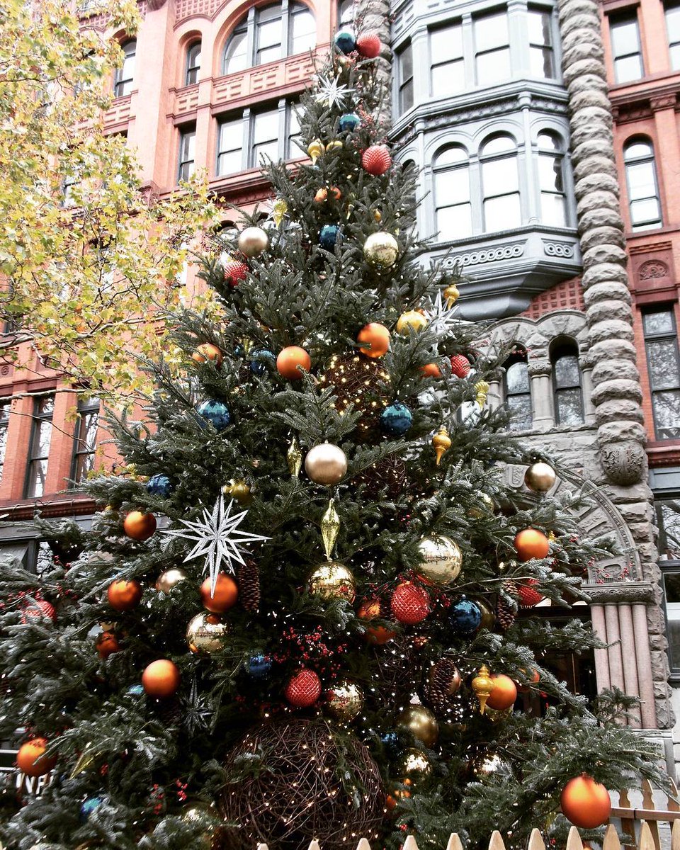 Get into the holiday spirit with a walk around the historic <a href="/pioneersquare/">Pioneer Square</a>. 📷: alybivins

#pioneersquare #happyholidays