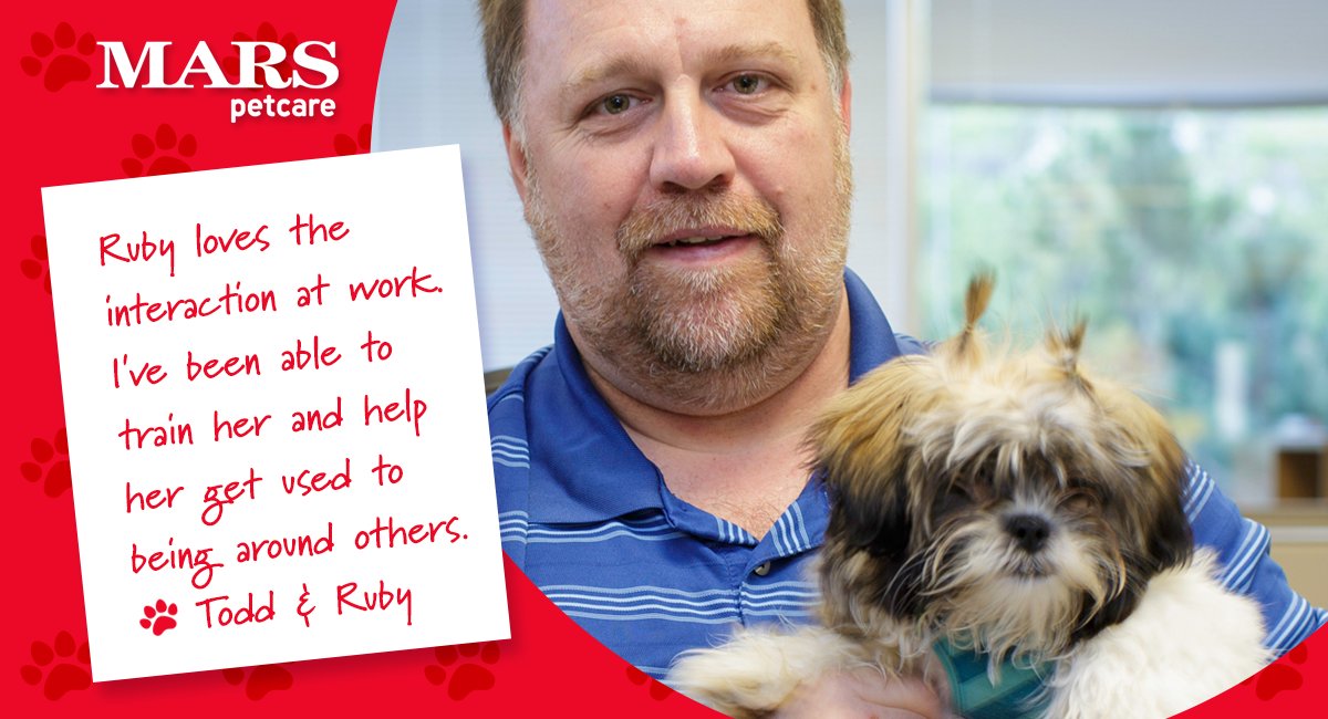 MarsPetcareUS's tweet photo. Why do #PetsWorkAtWork? It's a chance to help them become socialized in a friendly environment. #PawsitivelyMars https://t.co/SN2Hx2cCFs