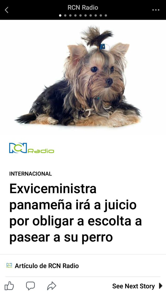 Si en Colombia existiera esta ley el 70% de las personas que tiene protección estuvieran en la cárcel.