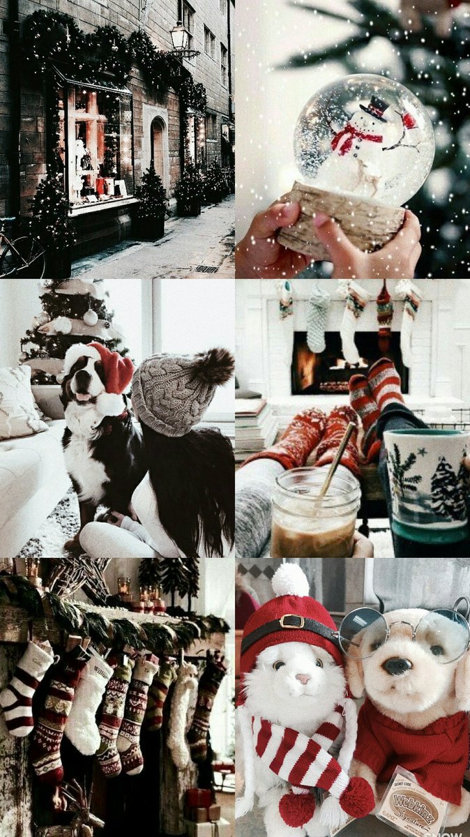 FlowerScreens's tweet image. Christmas;
•fav se gostar
•rt se salvar
•print se usar
/Joana