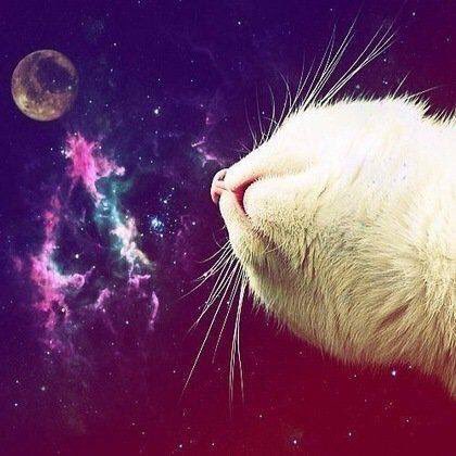 DarmokStarchild's tweet photo. Happy Weekend! Blast off to the stars in my livestream of #NoMansSky live now on https://t.co/6tDZnkR3Wf Tune in!!! https://t.co/IGUtwgSMK5