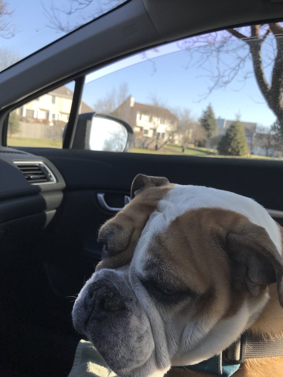 shawn_p_lyons's tweet image. Someone’s been promoted to co-pilot 👍🏻