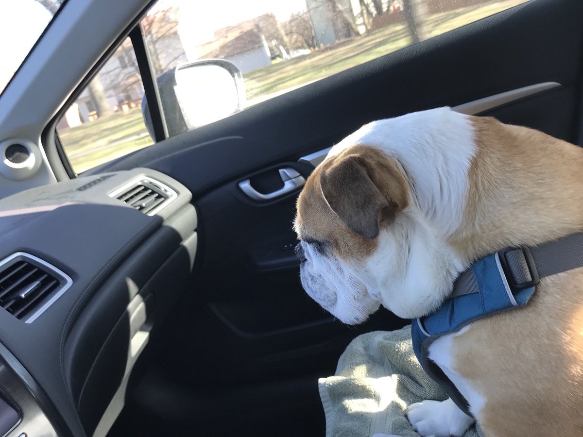 shawn_p_lyons's tweet image. Someone’s been promoted to co-pilot 👍🏻