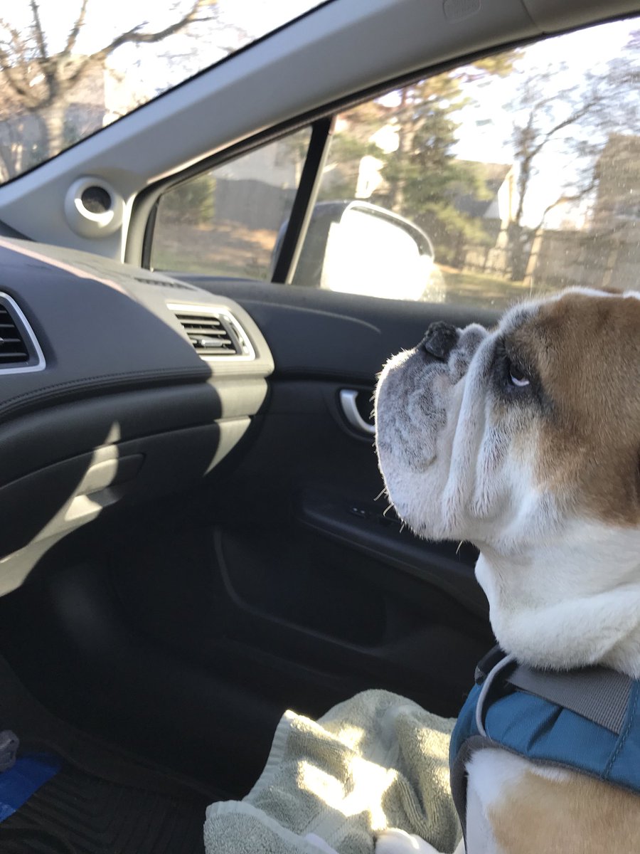 shawn_p_lyons's tweet image. Someone’s been promoted to co-pilot 👍🏻