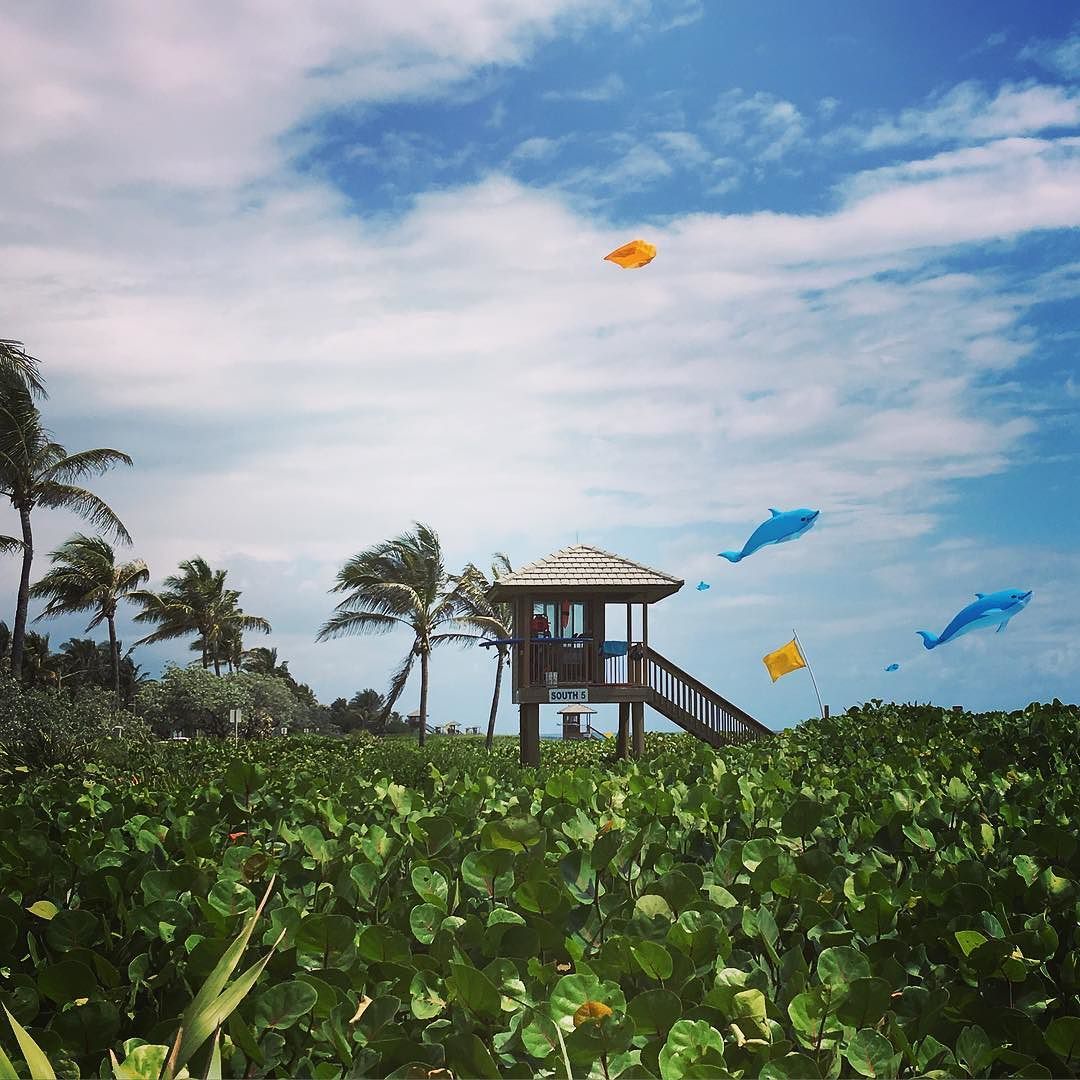 Marriott DelrayBeach tweet media
