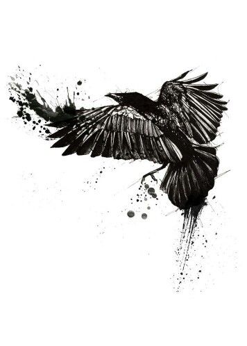 Xnot_psychoX's tweet photo. @FrankIerosCoin I love this one *i point at your drawing of the raven* https://t.co/10oeKBekUR
