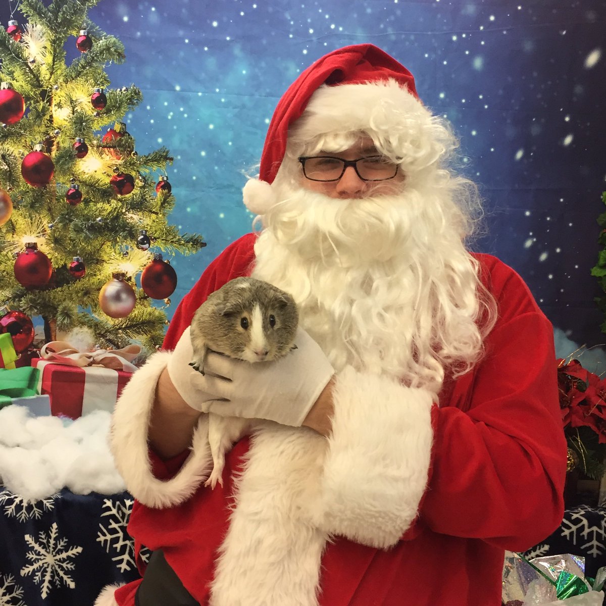 1171Petsmart's tweet photo. Santa and Jade! @PetSmartAE #SantaPaws #PetsmartEvents https://t.co/VT52234fgM