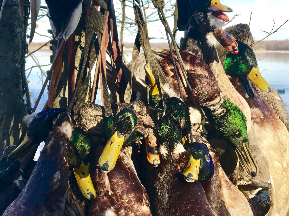 BOOMTIMETV's tweet photo. Some days you are just on the “X!” #BOOMTIME 
#JustGo
#BandedNation
#BandedBrands #AveryOutdoors
#AveryGHG 
#BlackCloudAmmo https://t.co/NGaiAvTiny