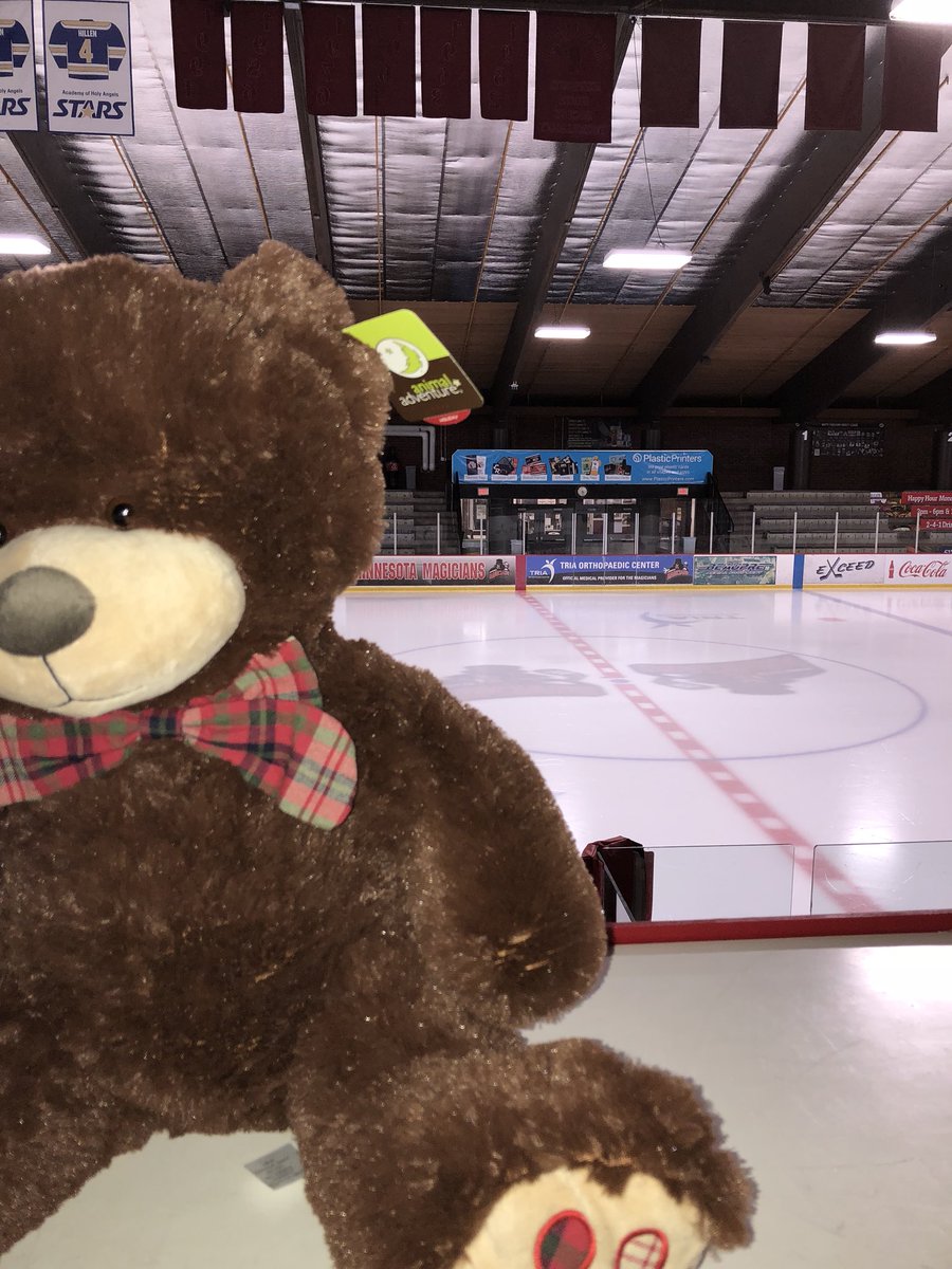 WiscWindigo's tweet photo. Do you have your Teddy ready?! #TeddyMagic https://t.co/TrW0JWnRQP