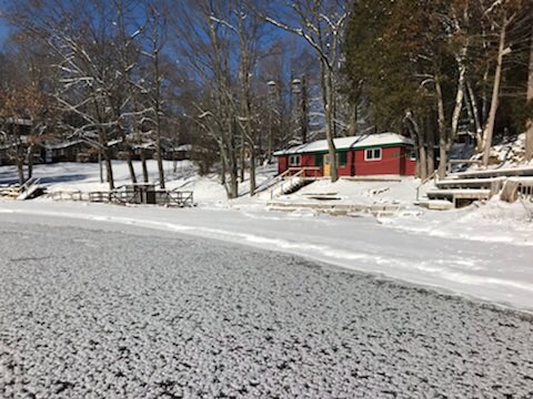 Winter has arrived. #Frosty