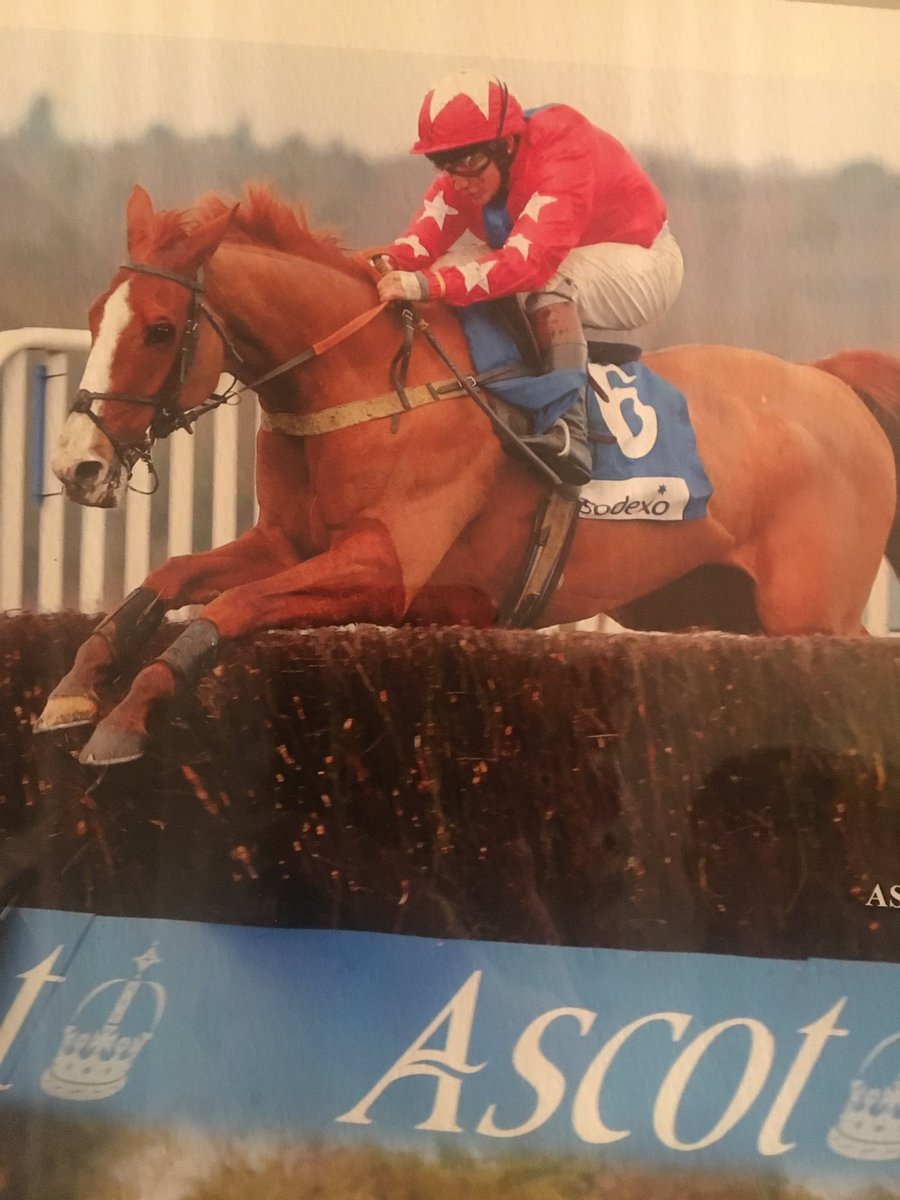 jemoore85's tweet photo. Time out for the best horse I've ever had anything to with...Thanks mate...and to everyone who has followed him he will be well looked after https://t.co/HmznxRXDfN
