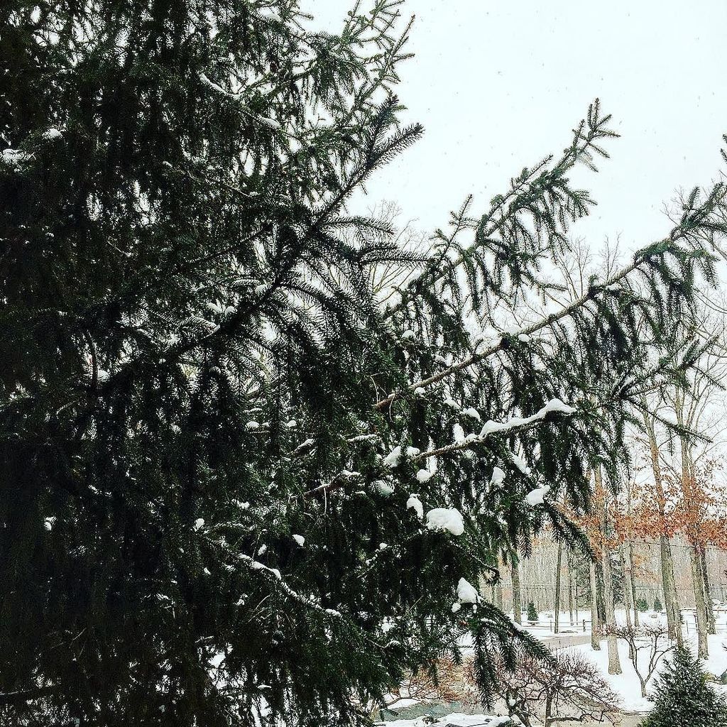 dadarocks's tweet photo. With snow falling... the kids are playing &amp; I'm enjoying this view with Harper. @woodloch #poconos #poconospa @visitpoconos https://t.co/4AZAmpET6N