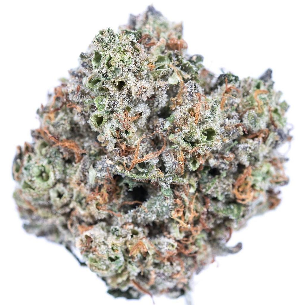 aznaturalselect's tweet photo. StarDawg⠀
⠀
#prop203 #letssmoke #Leafly #cannabiscommunity #weedmaps #loudunderlenses #azmmj #stonernation #stonersociety #potheadsociety #420lifestyle #weedstagram #maryjane #thc #420photography #cannabisculture #cannabiscup #medicalmarijuana #wesho… https://t.co/oNjTvQlz4u https://t.co/1UDssaXn3a
