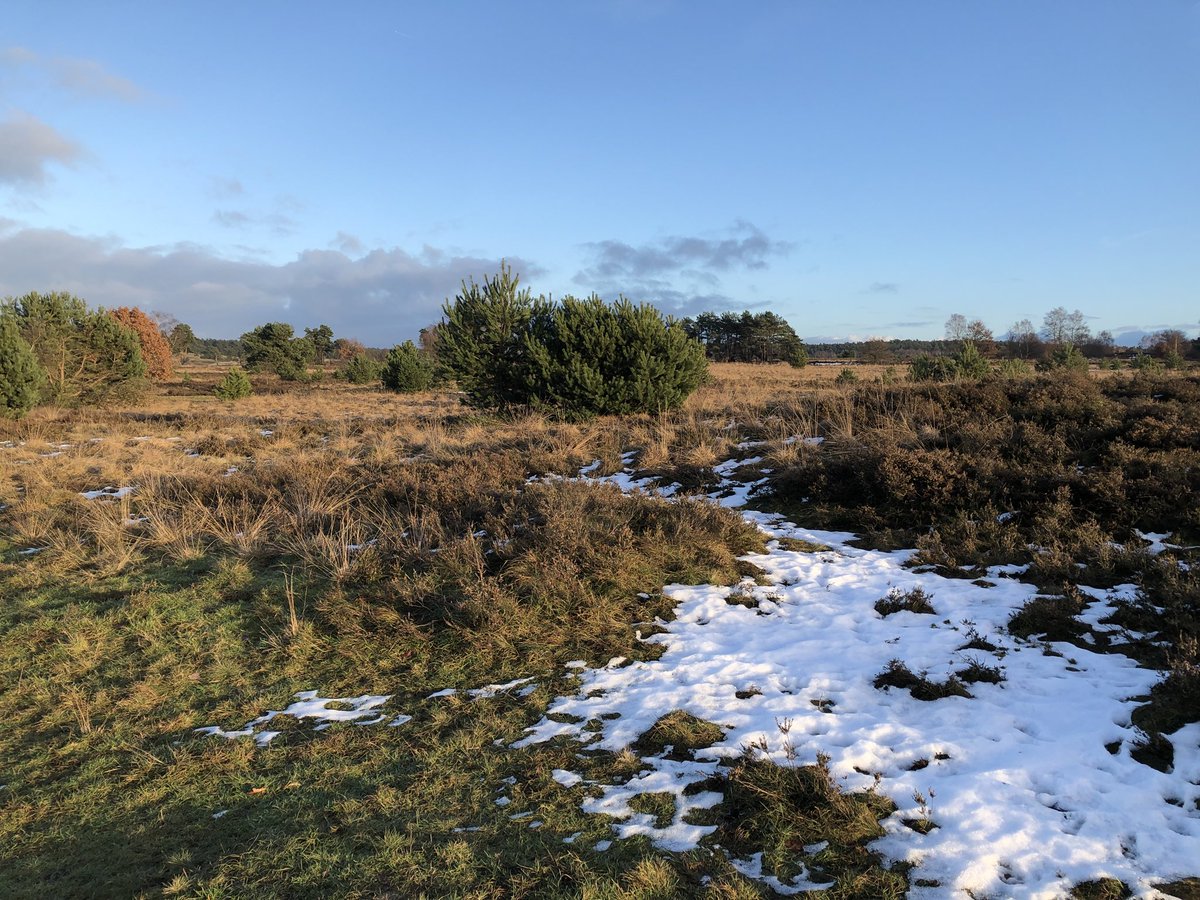 Altijd mooi! <a href="/veluwezoom/">Regio Veluwezoom</a> #veluwezoom #rozendaal #rozendaalseveld #rozendaalsebossen #mijnachtertuin #arnhem