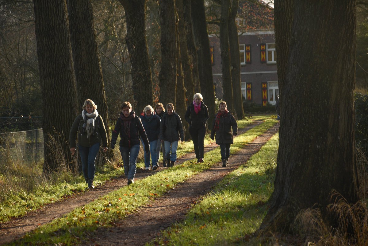 loopgroepdekrim's tweet photo. we kijken terug op een mooie sportieve loopdag in de Krim, bijna 500 mensen kwamen in beweging. Hardlopers en wandelaars 👏👏 https://t.co/1EOu0mLiuD