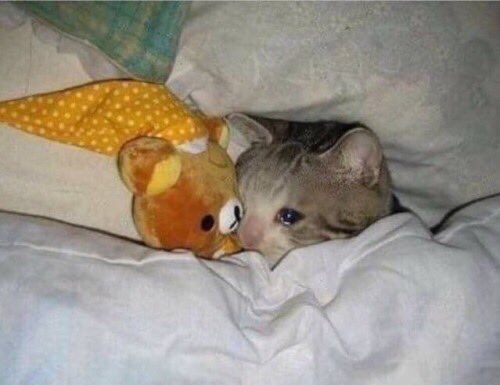 Ggukie keeps making me soft