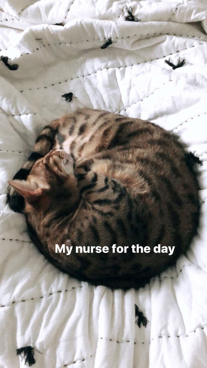 FARRO_LA's tweet photo. We hope you get well soon, you’re in good hands @Farro https://t.co/0YyeGBoPrl