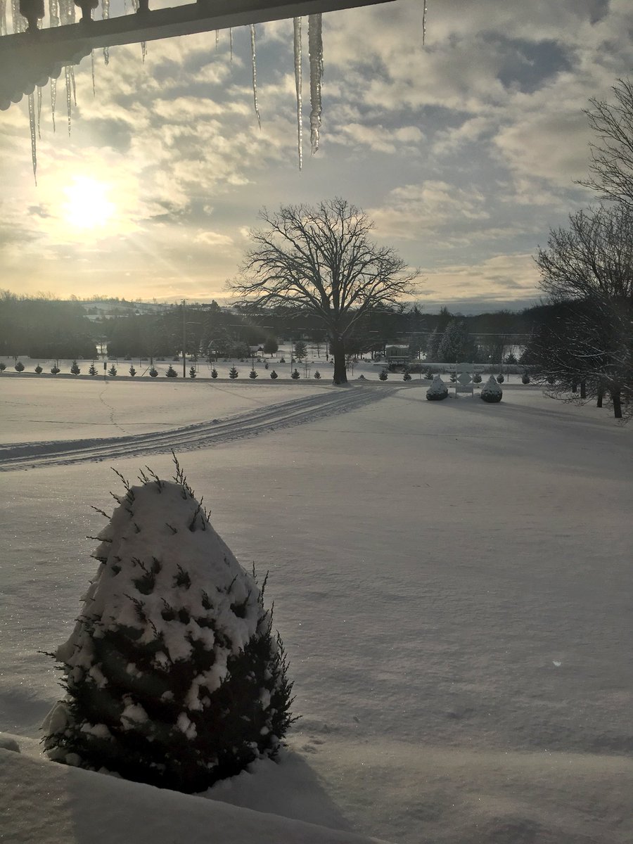 CrowleyArklie's tweet photo. There is so much calmness and beauty to snow ❄️ I may have lied when I said #Fall was my favourite season. This stillness as I age and as I’ve become a mom this year, is so appreciated 🙏🏻 #BloggingInspiration https://t.co/41JGFFtcgM