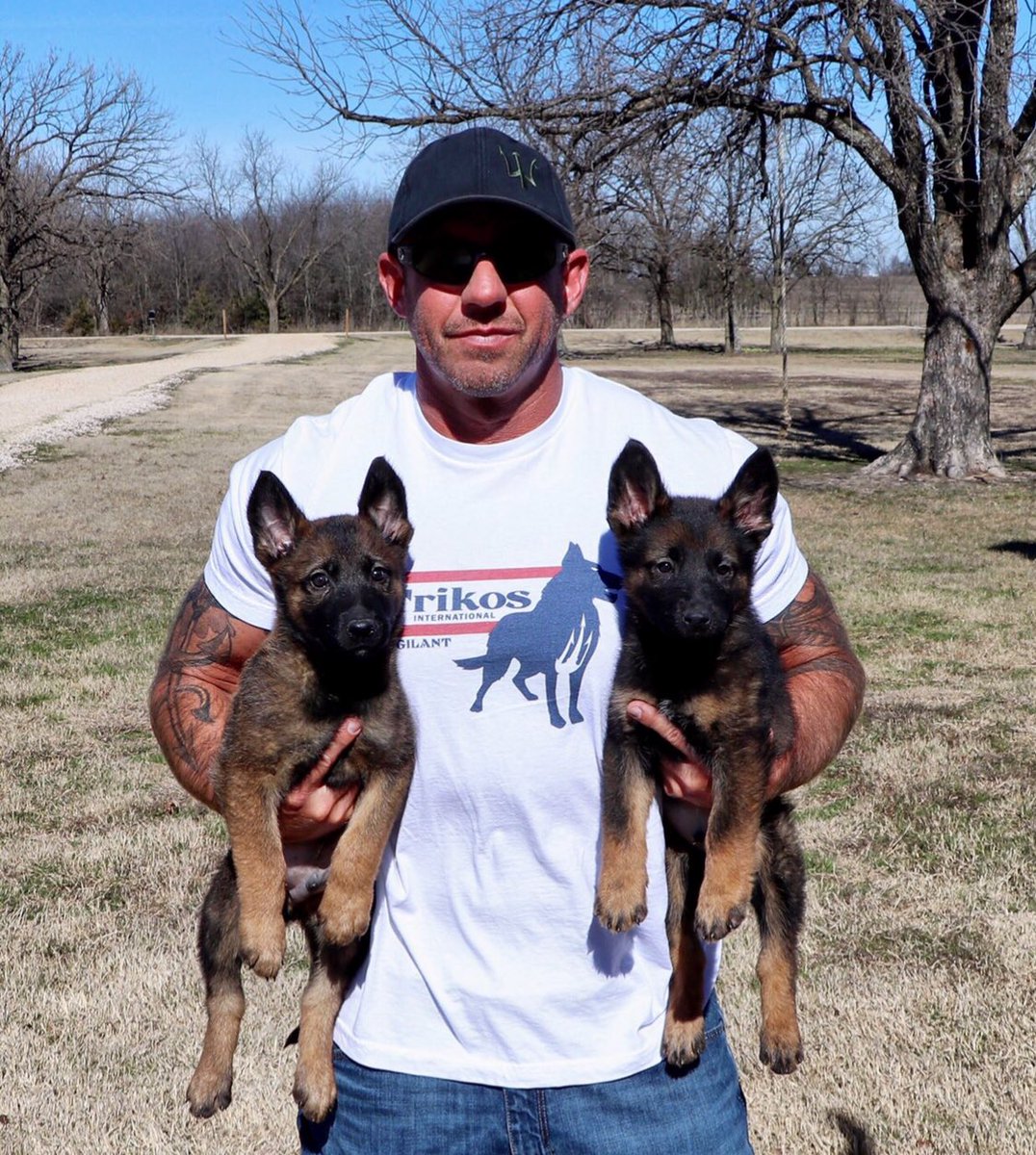 Trikos International (TrikosDogs) Twitter