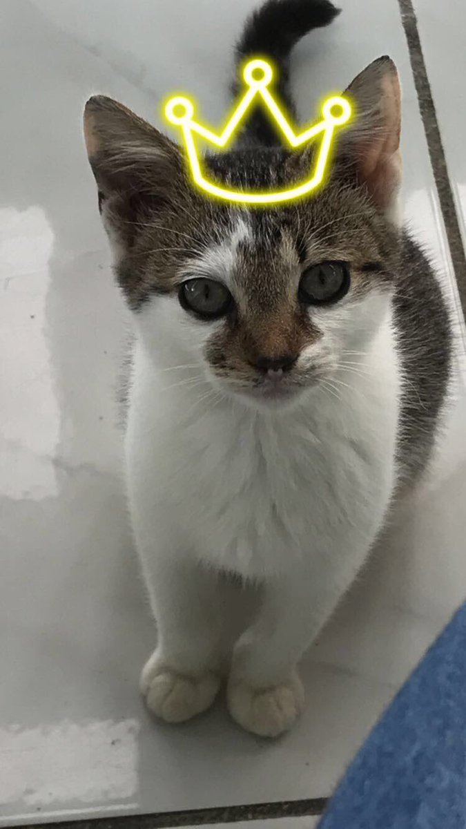 128Gianna's tweet image. 