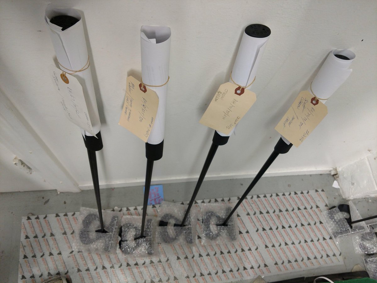 DFputters's tweet image. Putters, heading out the door on their way to visit with the birdies and eagles!