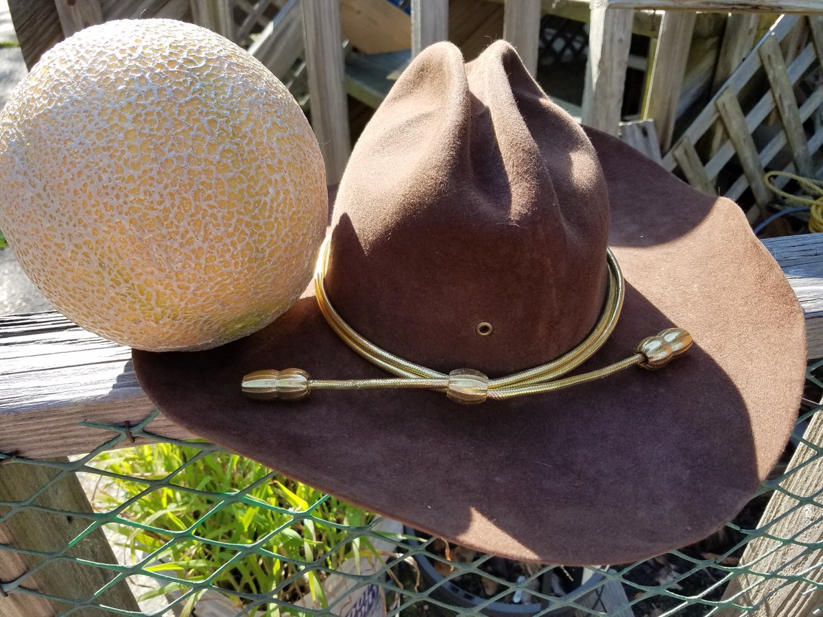 jessicatNY's tweet photo. Since my hat seems to be popular in the #carlgrimes tag, a throwback to #sadhat in happier times. #ripcarlgrimes #CORAL  https://t.co/b5DaqZiIWu https://t.co/eNSbllQGo2