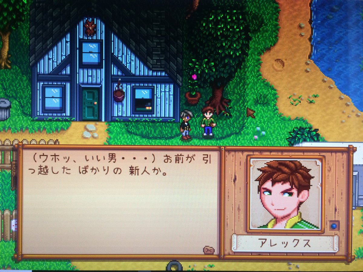 まきこ まきこのスタバレ記 スターデューバレー Stardewvalley 2週目を始めてみたらどうも町の人たちがおかしい件について