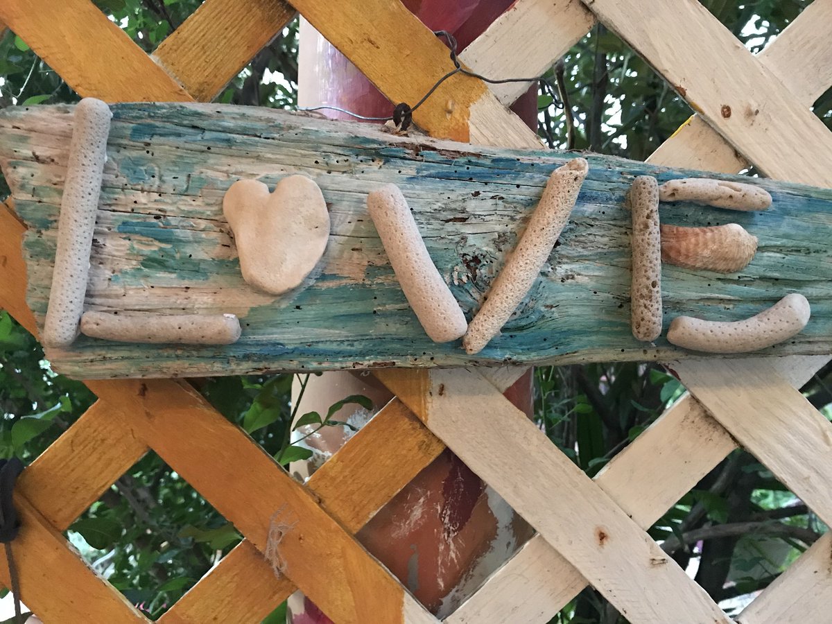 vermontcarrot's tweet photo. #love #Curacao #leave2learn https://t.co/09aLNpIgfY
