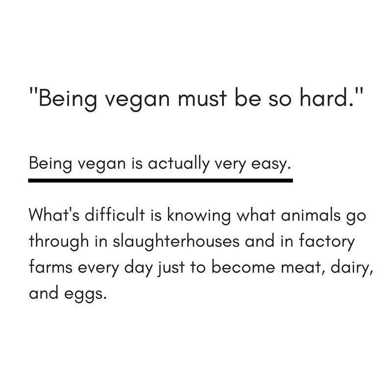 MercyForAnimals's tweet image. Being vegan is easy. What&apos;s difficult is knowing what animals go through on factory farms.