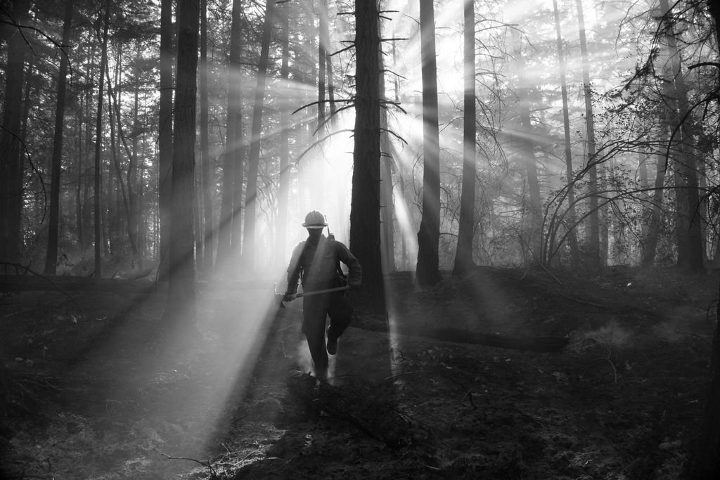 #JOB OPENINGS #HIRING: 2018 Wildland Firefighter NW Region buff.ly/2CzCEdc  #WaWILDFIRE #Everett #Edmonds #Bellingham #Seattle