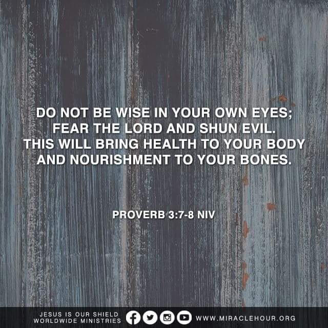 fear the lord and shun evil