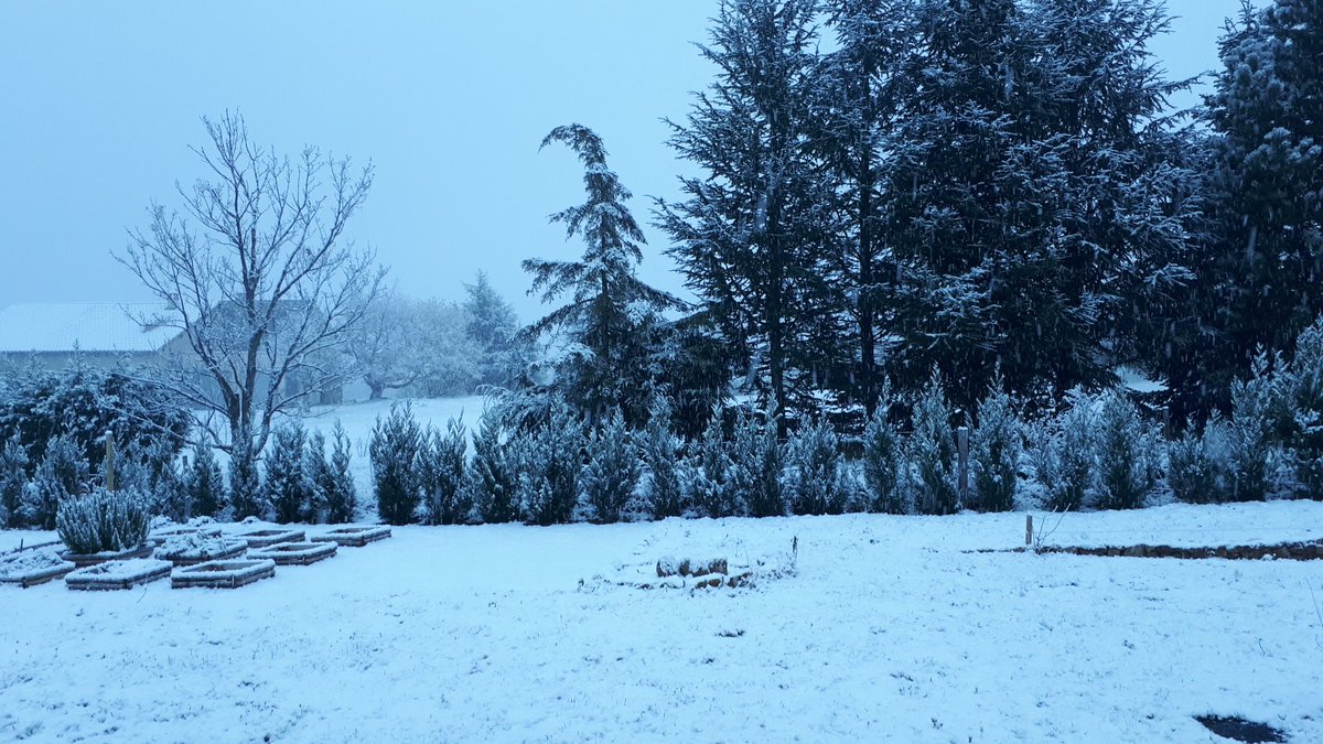 Buongiorno Grande <a href="/maxbiaggi/">Max Biaggi</a> ! Surprise this morning hihi neive is back 😃 not possible to work on garden 😂 but playing with my princess yesss hihi Bonne journée !!!