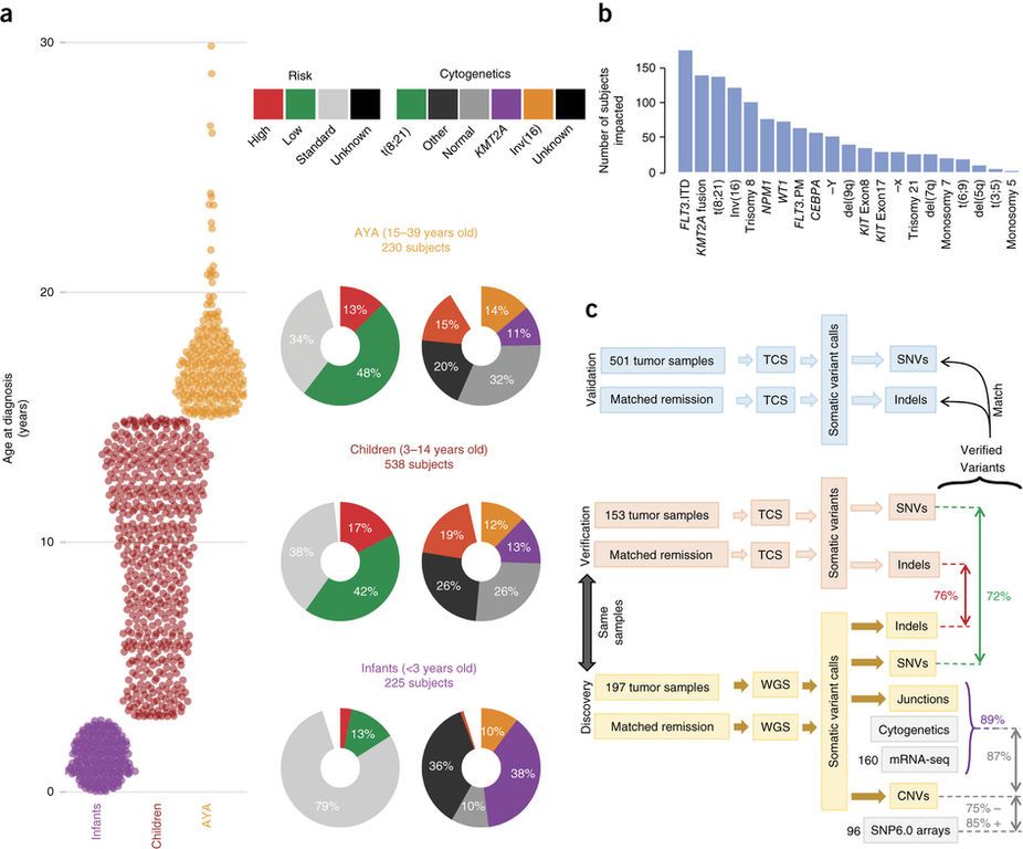 mmw_lmw's tweet photo. MolecularLandscape of #AcuteMyeloidLeukemia: Study OverView | The need for #AgeTargeted Cancer #ImmunoTherapies | SoheilMeshinchi @FredHutch @NatureMedicine https://t.co/ALjpIuINSW https://t.co/t4E8FPp0ew